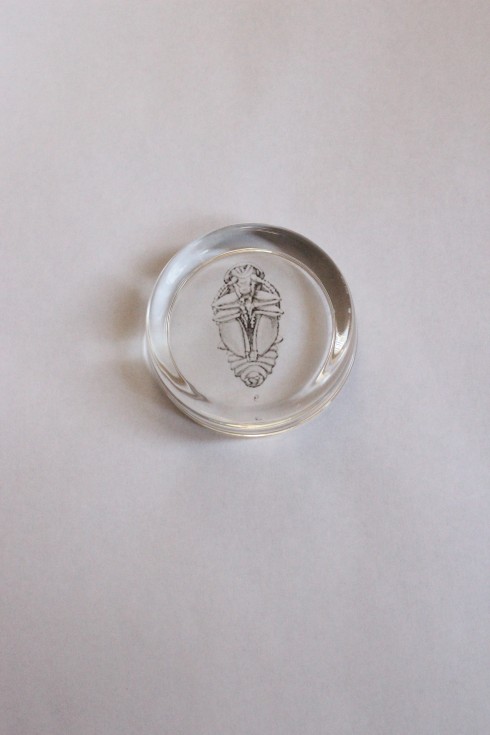 Homemade paperweight tutorial from Wolves in London