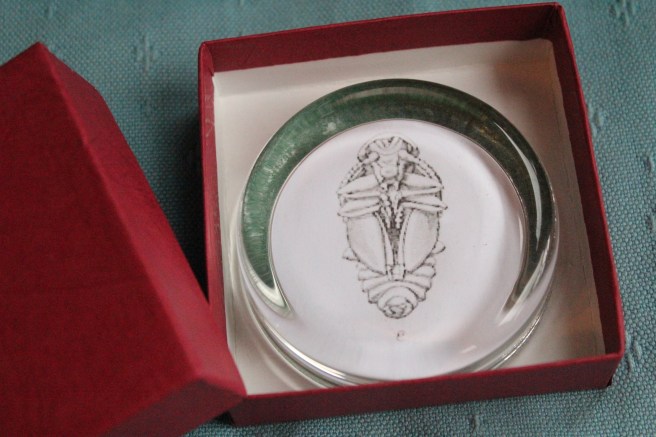 Homemade paperweight tutorial from Wolves in London