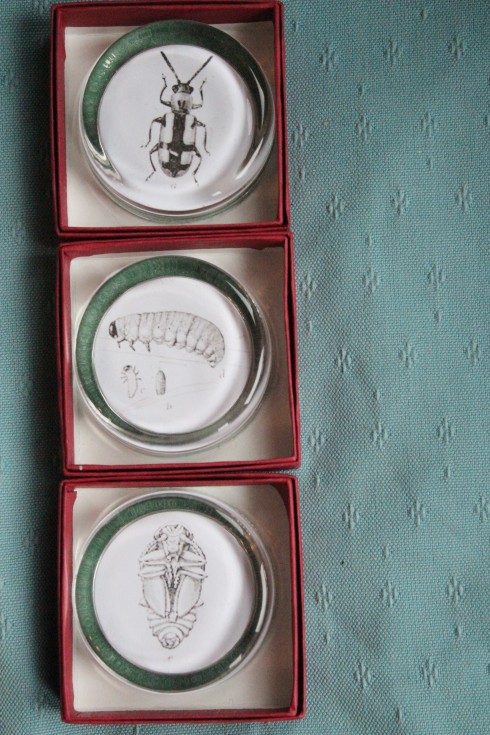 Homemade paperweight tutorial from Wolves in London