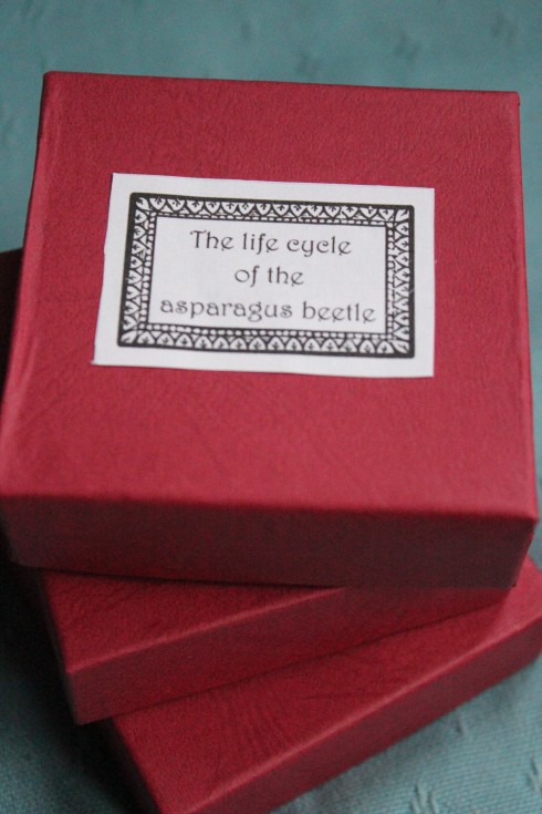 Homemade paperweight tutorial from Wolves in London