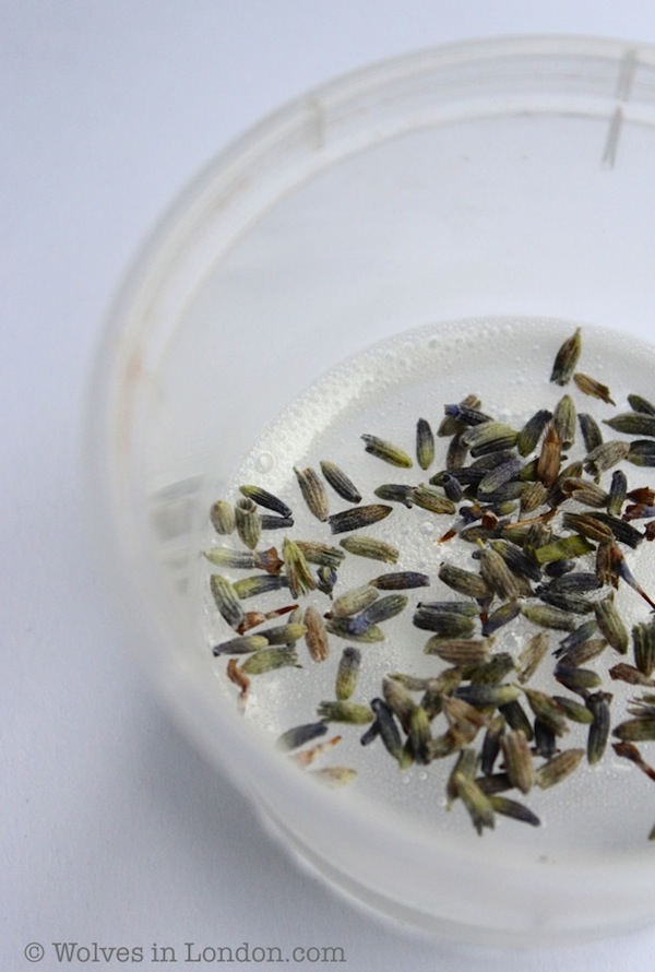 Making homemade lavender soap