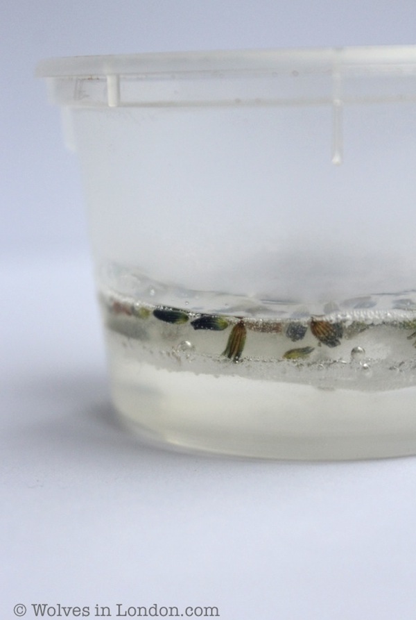 Making homemade lavender soap