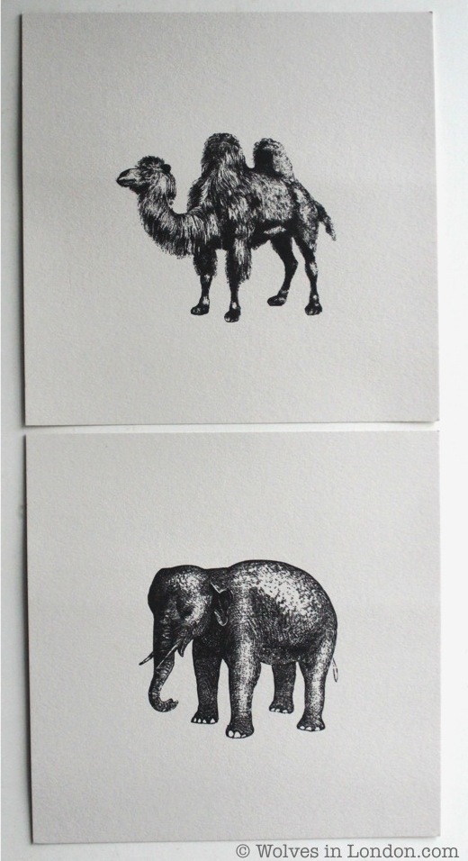 Elephant card and camel card from Wolves in London