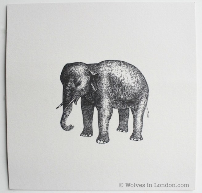 Elephant card from Wolves in London