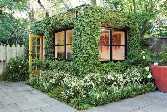 Ivy covered shed