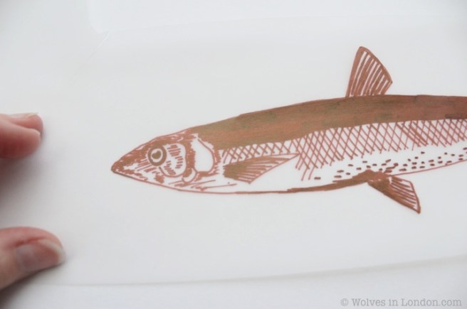 acetate design of a fish