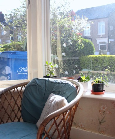 Blogging view | Wolves in London