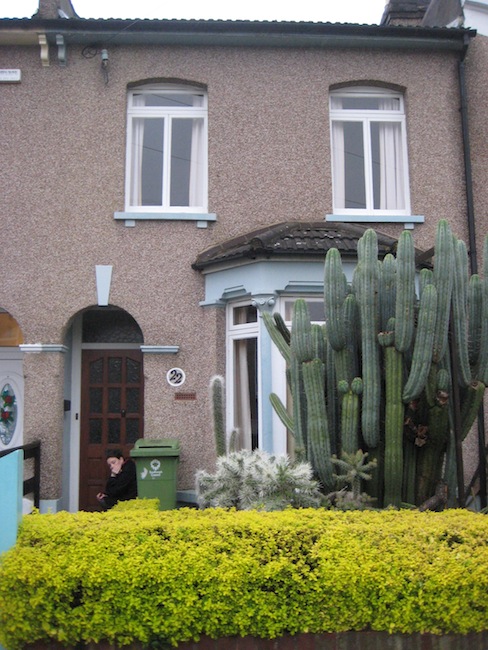 Pebble dash London house