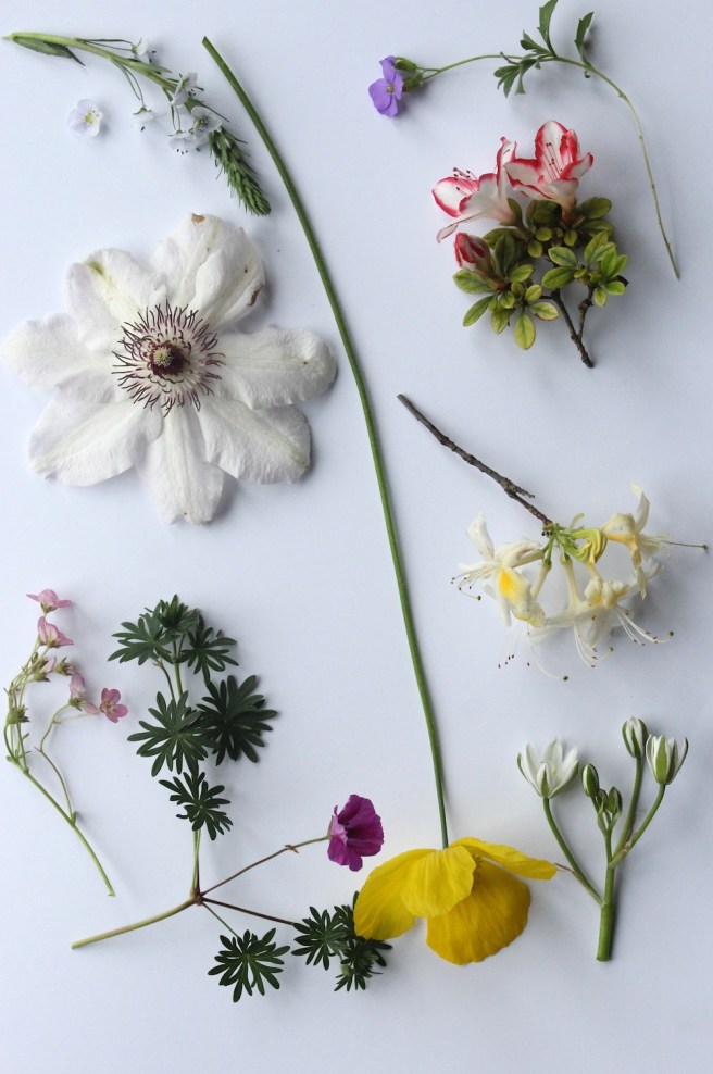 June garden moodboard