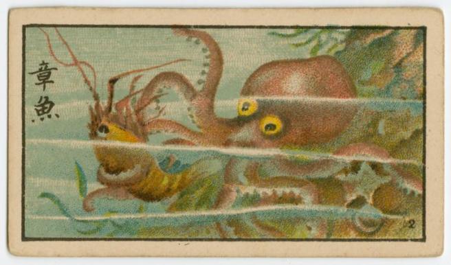 Octopus cigarette case