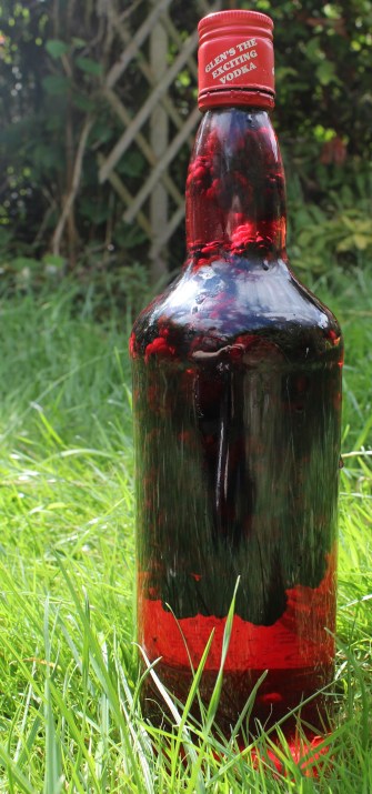 blackberry vodka