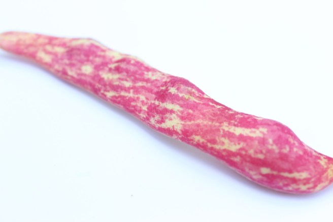 Borlotti bean