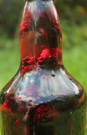 Blackberry vodka