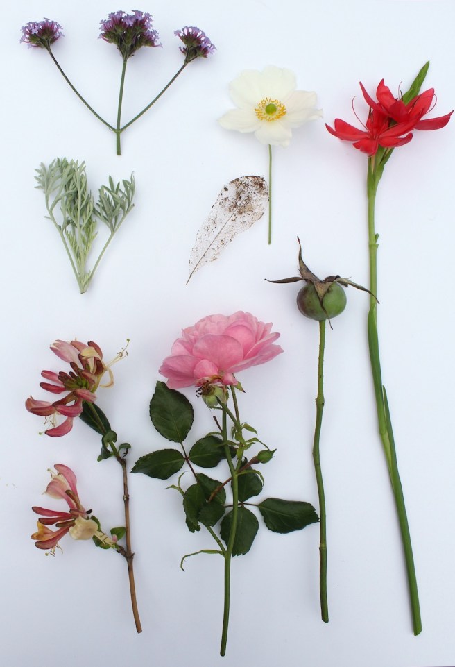 October garden moodboard