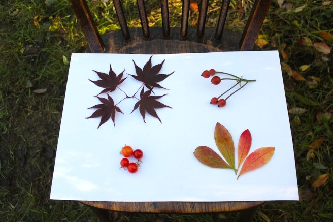 Garden moodboard November