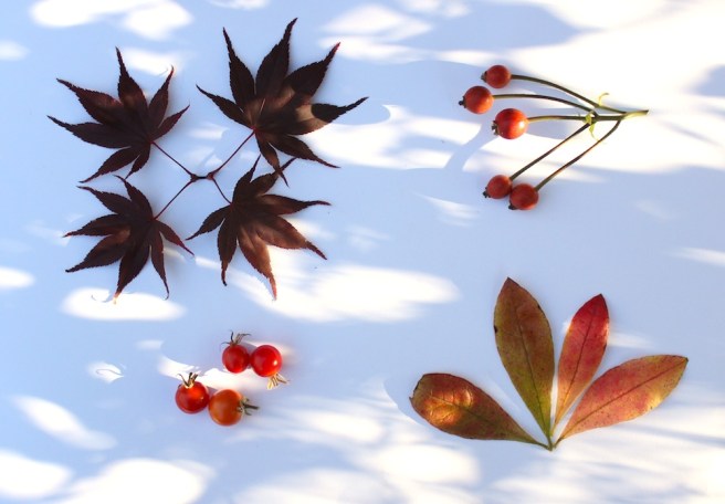 November garden moodboard