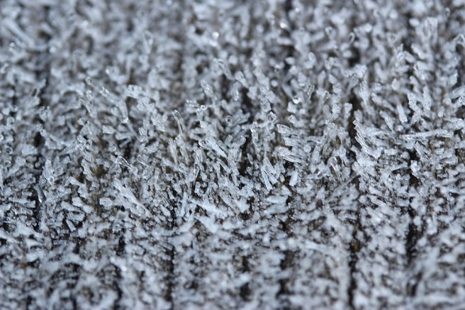 Frosted garden table