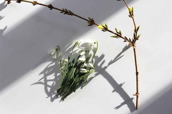 February garden moodboard