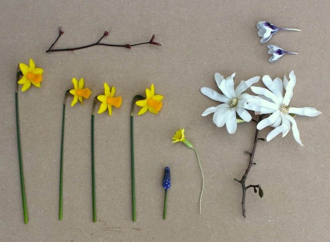 March garden moodboard