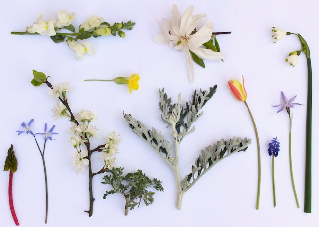 Garden moodboard April | Wolves in London