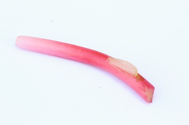 rhubarb stalk | Wolves in London