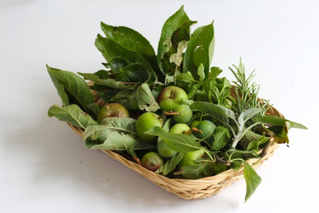 Apples and plums | Wolves in London