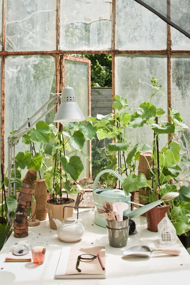 Greenhouse full of plants