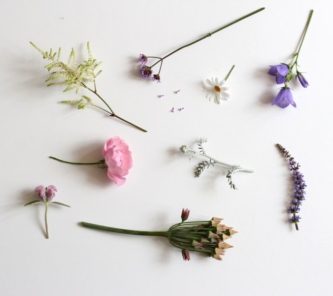 Garden moodboard June 2014 | Wolves in London