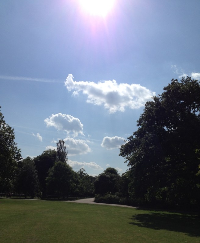 Peckham Rye Park | Wolves in London