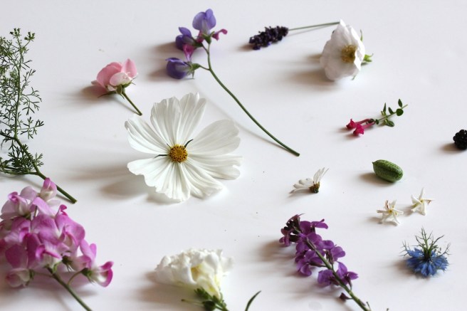 Cottage garden flowers | Wolves in London