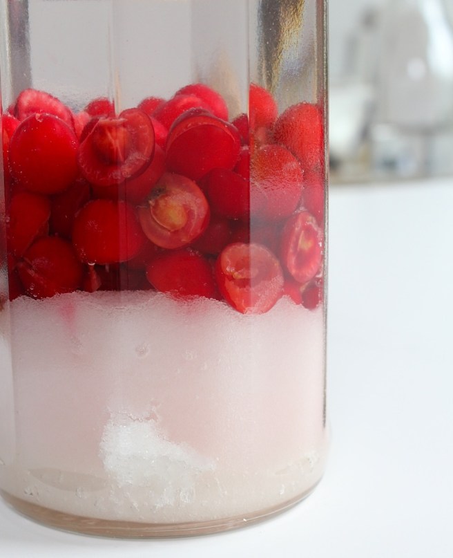 Homemade morello cherry vodka | Wolves in London
