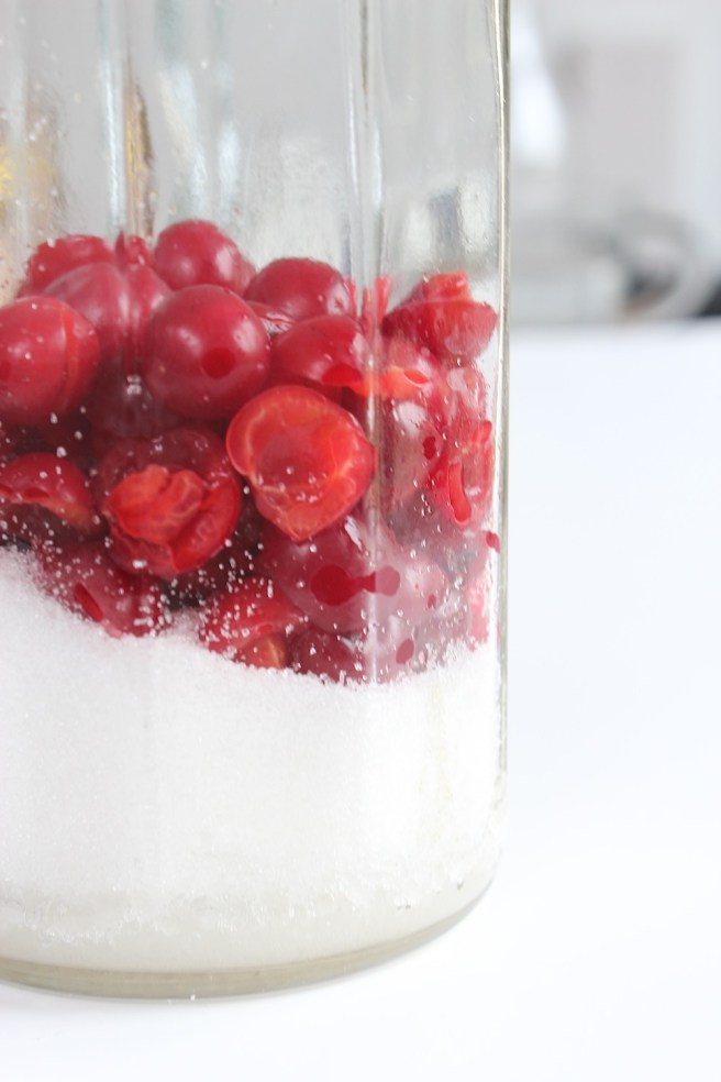 Homemade morello cherry vodka | Wolves in London