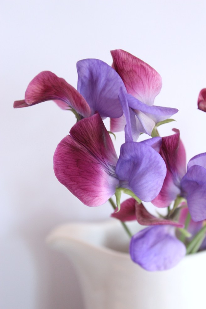 Sweet peas | Wolves in London