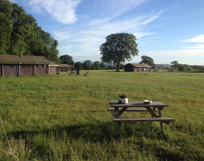 View at Featherdown farm | Wolves in London