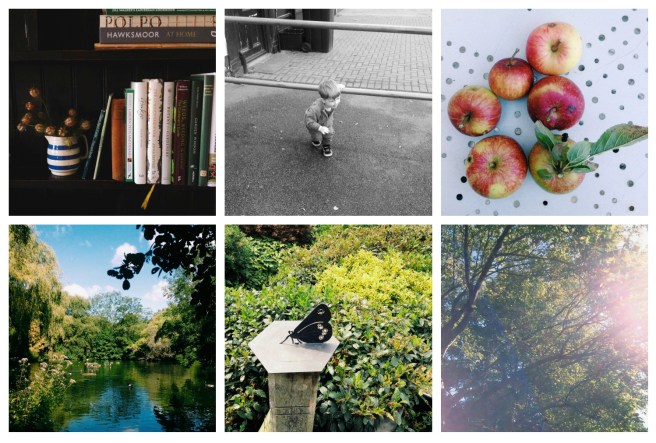 August break photo collage | Wolves in London