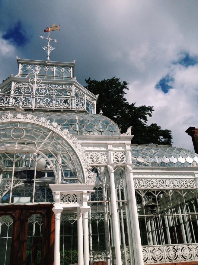 Horniman museum | Wolves in London