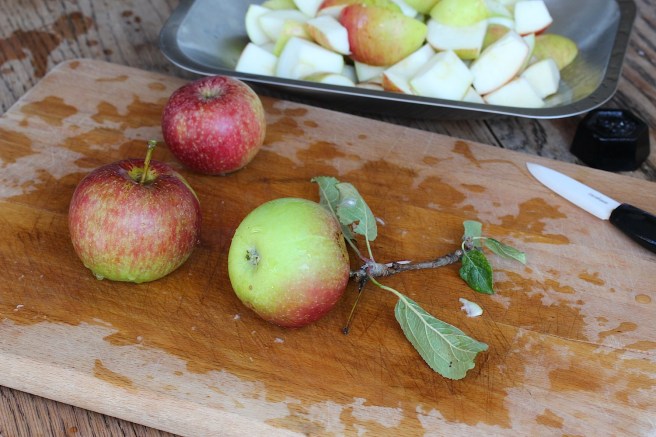 Spicy plum chutney recipe | Wolves in London