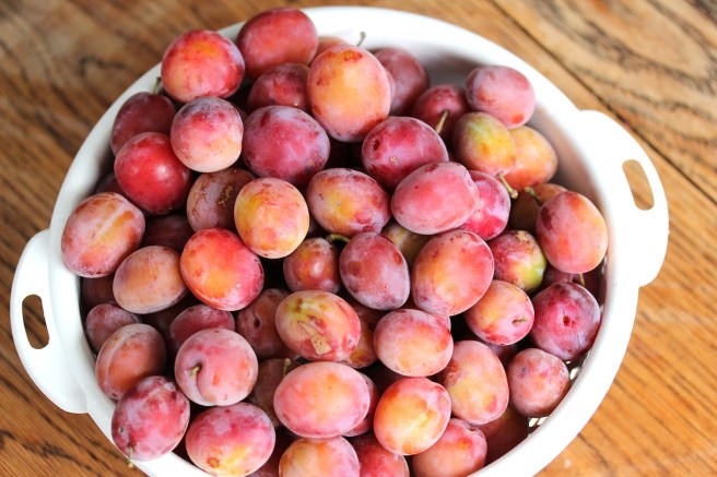 Spicy plum chutney recipe | Wolves in London