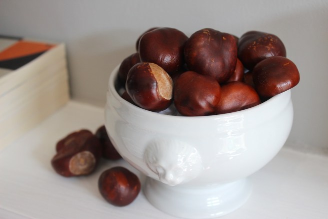 Conkers in soup bowl | Wolves in London