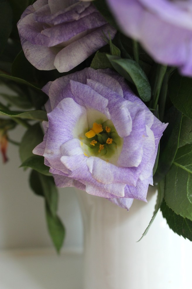 Bouquet | Wolves in London