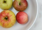 Homegrown apples | Wolves in London