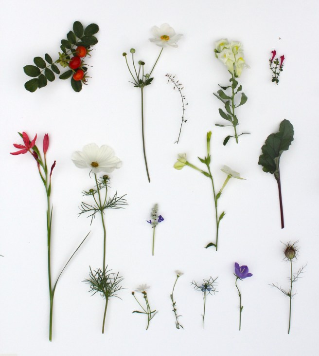 September garden moodboard | Wolves in London