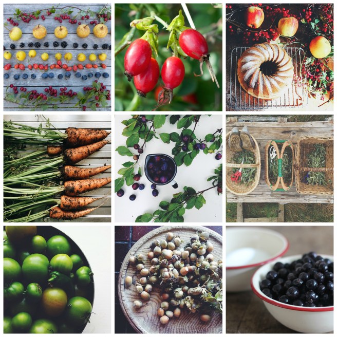 Grow, forage, cook September roundup