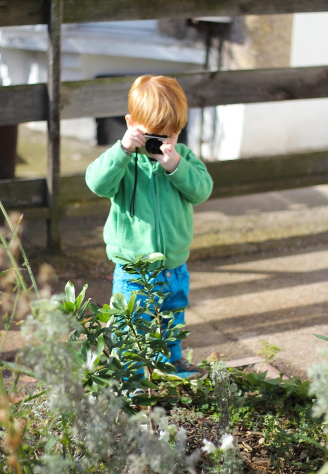 Toddler photographing | Wolves in London