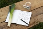 Planning a kitchen garden