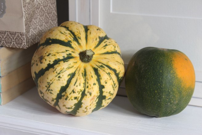 Pumpkins | Wolves in London