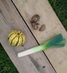 Planning a kitchen garden | Wolves in London