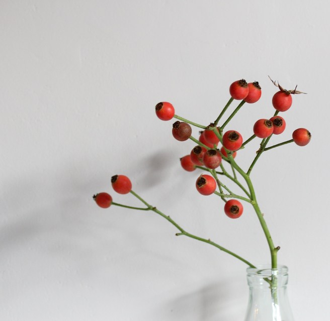 Rosehips on the mantelpiece | Wolves in London