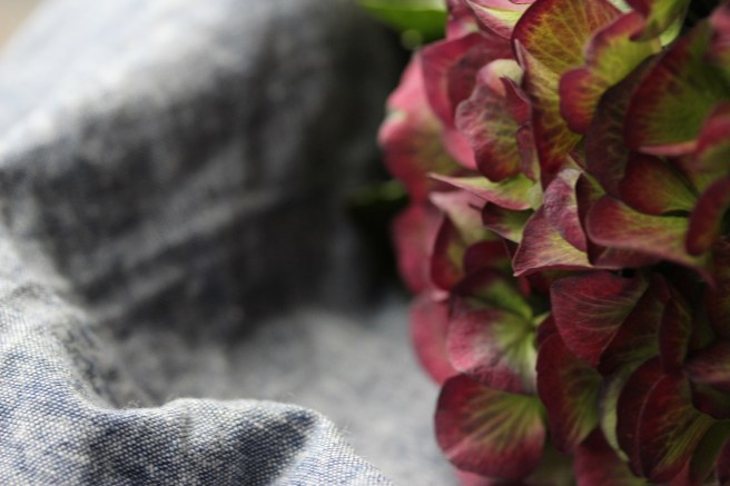 Hydrangea | Wolves in London