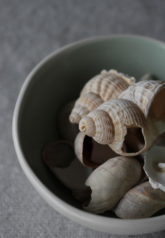 Shells | Wolves in London